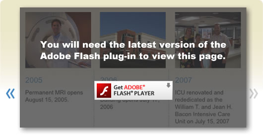 Get Adobe Flash